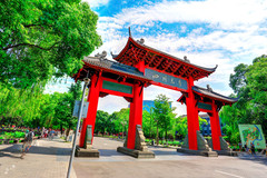 四川大学开设的专业有哪些？附2024最新王牌专业目录一览表