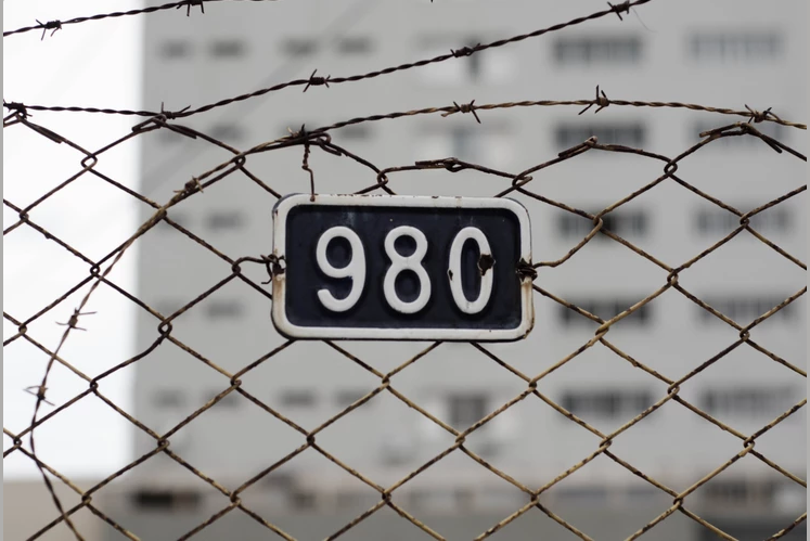 a05a3e3d1b423dda3ef86cec8a6a745.png