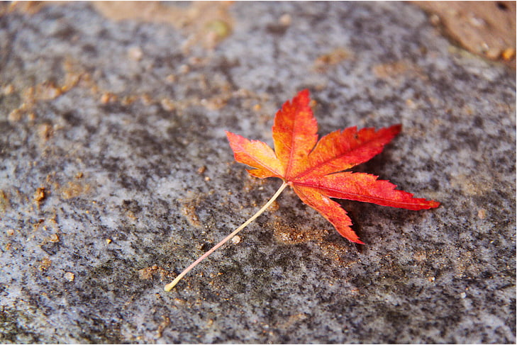 e5ca6275b6775b542c04e087f738f3d.png