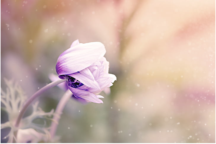 a3d6db7f4d5788bf1b23ec7fcf80c58.png