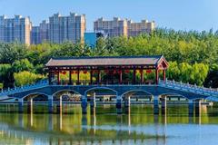 志愿填报指南：偏远地区的985和一线城市的普通一本，应该怎么选？