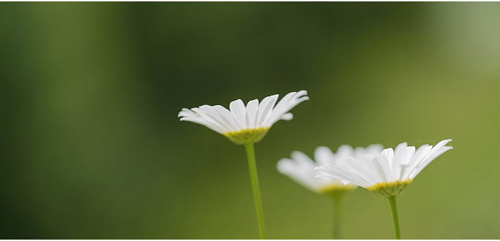 3563cb90474f6e1d26d785aa829f812.png
