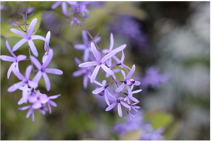 a458206617d5fc6001bf042b04fbad3.png