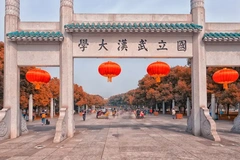 2024辽宁考生最低多少分可以进武汉大学？附2023武汉大学各专业最低录取分数线