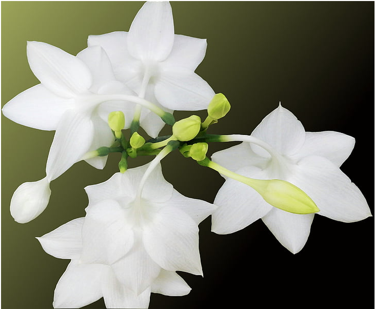 d7a111113d3552fdfa4249f6ee599f4.png