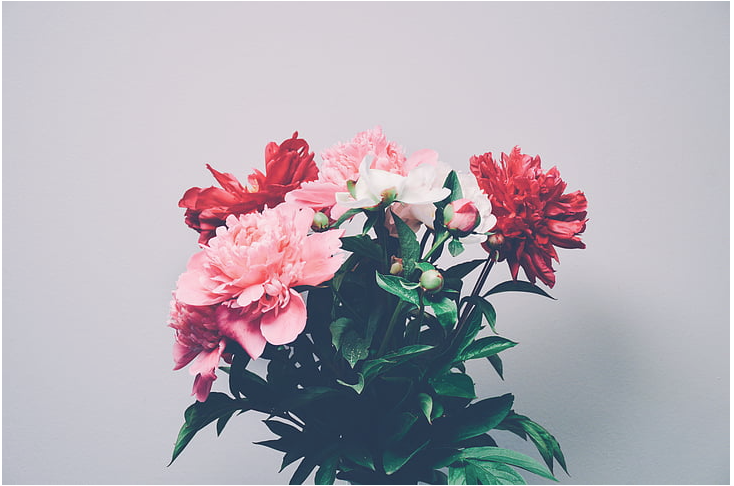 847cc5230d6c27180eef0f56dc2cfa9.png
