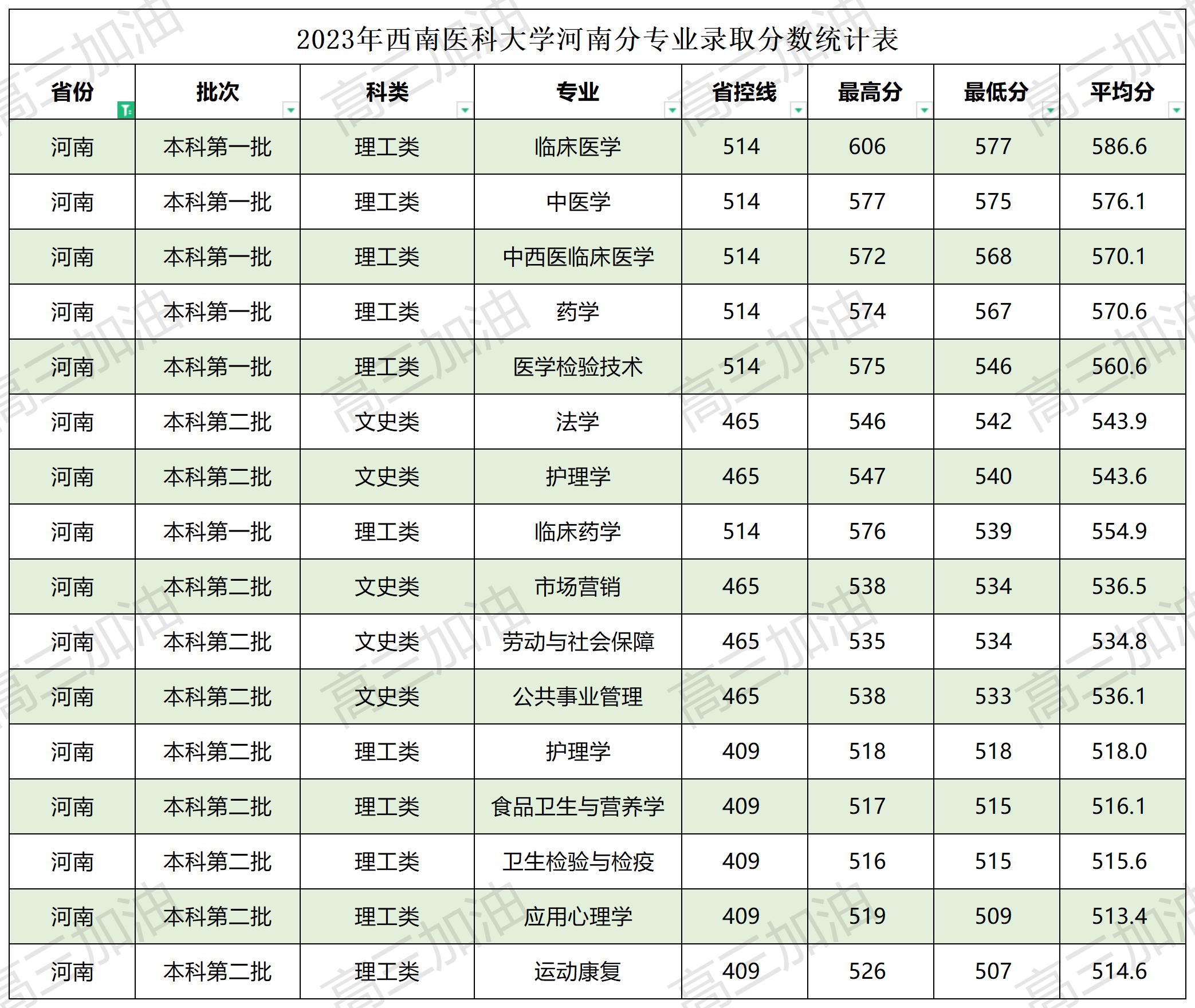 2023西南医科大学各省分专业录取分数表_Sheet1(28).jpg