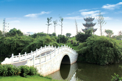 广东考多少分能上西南医科大学？2023年西南医科大学在广东最低录取分数线