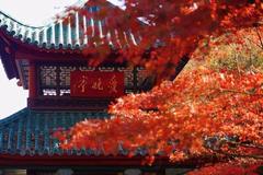 湖南本科大学文科排名及2023年湖南本科大学文科投档线