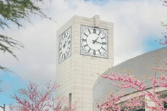 2024宁夏高考最低多少分可以上西工大？附2023西北工业大学各专业最低录取分