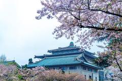 湖北公办本科院校排名及2023年在四川的录取调档线（2024年高考文科参考）