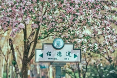 湖北考多少分能上天津大学？附2023年天津大学各专业录取最低分