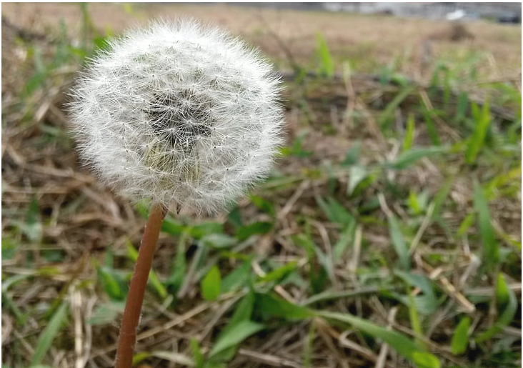 微信图片_20240126190501.png