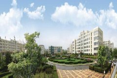 2023年辽宁专科学院在四川的录取调档线（2024年物理类考生参考）
