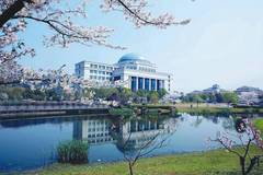 浙江理工类本科大学排名及2023年在江苏的投档分（2024年物理类考生参考）