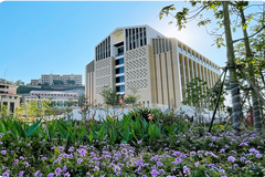 2023年福建大专院校在四川的录取调档线（2024年物理类考生参考）