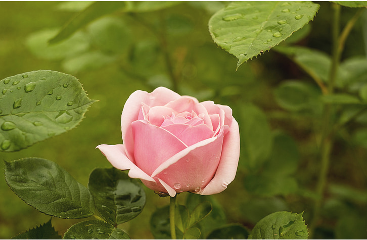 1b9ebcb22f092b15e3d3c62aa953aa4.png