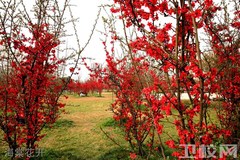 成都中医药大学的专业概况及2023年成都中医药大学在四川各专业的调档线（包含文、理科）