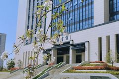 2024年深圳二模语文试题及参考答案