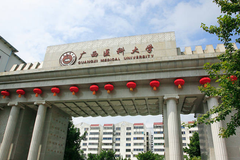 广西医科大学录取分数最低多少分？附2023年高考最低投档线