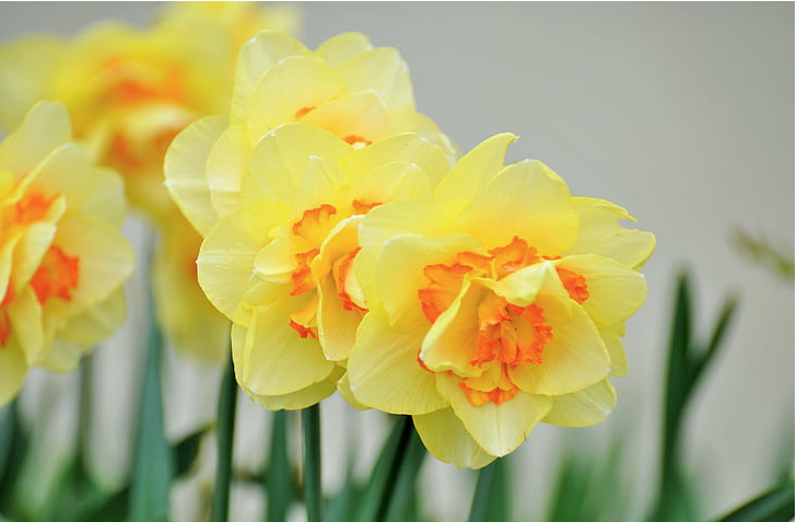 b975b5150c22963093a6b1b98daa5d5.png