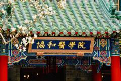 北京协和医学院最低录取分数线是多少？附2023年高考最低投档线
