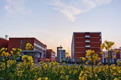长治医学院录取最低分多少？附2023年高考各省最低投档线