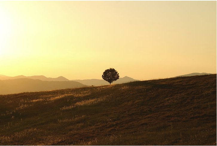 a969be8d850ee96b2fc291e2ef97298.png