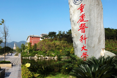 重庆医科大学最低录取分数线是多少？附2023年最低投档线