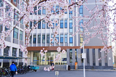 2024吉林高考多少分可以上中央财经大学？附2023中央财经大学各专业最低录取分