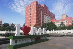 2023年陕西中医药大学最低录取分多少？附2023年高考最低投档线