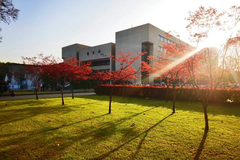 西南医科大学录取最低分多少？附2023年西南医科大学高考最低投档线