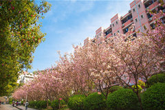 2024年海南最低多少分能上重庆邮电大学？附2023年重庆邮电大学各专业录取最低分