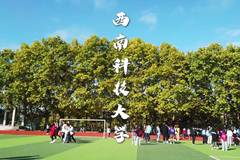 2024上海高考多少分可以上西南科技大学？附2023年西南科技大学各专业最低录取分