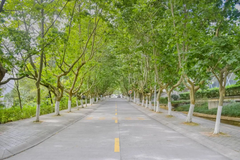 2024山西高考多少分可以上西南科技大学？附2023西南科技大学各专业最低录取分