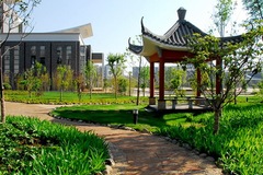 云南中医药大学录取最低分多少分？附2023年高考最低投档线
