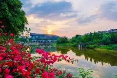2024陕西高考多少分可以上重庆科技大学？附2023重庆科技大学各专业最低录取分