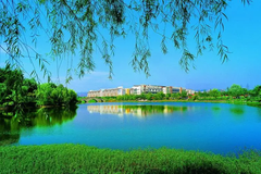 2024宁夏高考多少分可以上重庆科技大学？附2023重庆科技大学各专业最低录取分