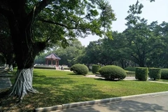 2024年山西最低多少分能上绵阳师范学院？附2023年绵阳师范学院各专业录取最低分、人数