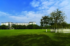 重庆大学录取分数最低多少分？附2023年高考最低投档线