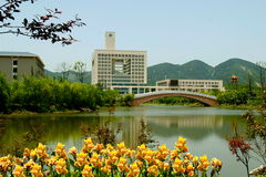重庆师范大学录取分数最低多少分？附2023年高考最低投档线