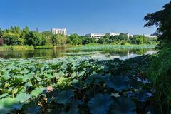 福建考多少分能上重庆交通大学？附2023年重庆交通大学各专业录取最低分、人数