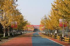 甘肃考多少分能上重庆交通大学？附2023年重庆交通大学各专业录取最低分、人数