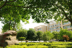 乐山师范学院录取分数最低多少分？附2023年乐山师范学院各省最低投档线