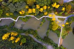 2024年黑龙江考多少分能上重庆理工大学？附2023年重庆理工大学各专业录取最低分