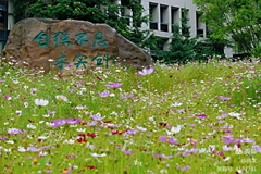 2024年广东考多少分能上重庆理工大学？附2023年重庆理工大学各专业录取最低分