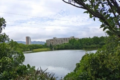重庆交通职业学院录取分数最低多少分？附2023年重庆交通职业学院各省最低投档线
