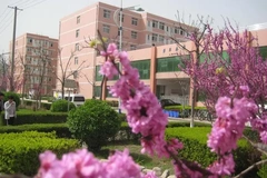 渭南师范学院录取分数最低多少分？附2023年渭南师范学院各省最低投档线