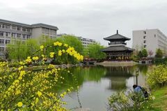 陕西理工大学录取分数最低多少分？附2023年陕西理工大学各省最低投档线