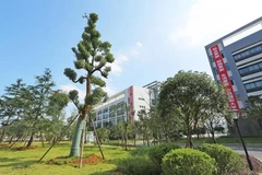 2024年四川考多少分能上遵义职业技术学院？附2023年遵义职业技术学院录取最低分，最低位次